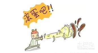 除甲醛公司服务价格解析及环保咨询服务概览